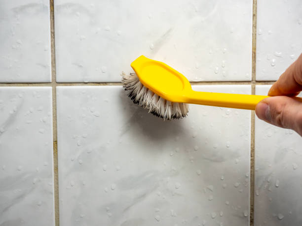 Best Black Mold Remediation in Oran, MO