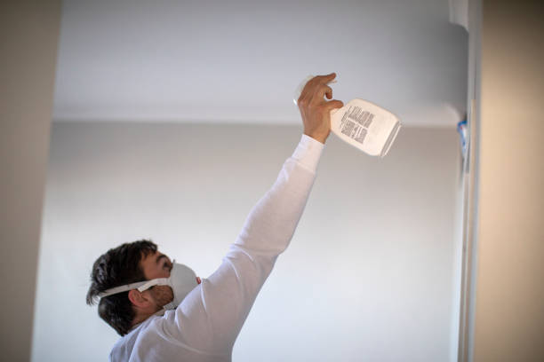 Best Mold Testing and Inspection Services in Oran, MO